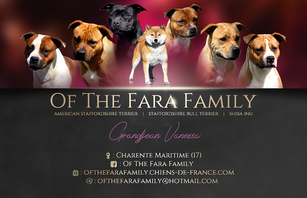 Of The Fara Family